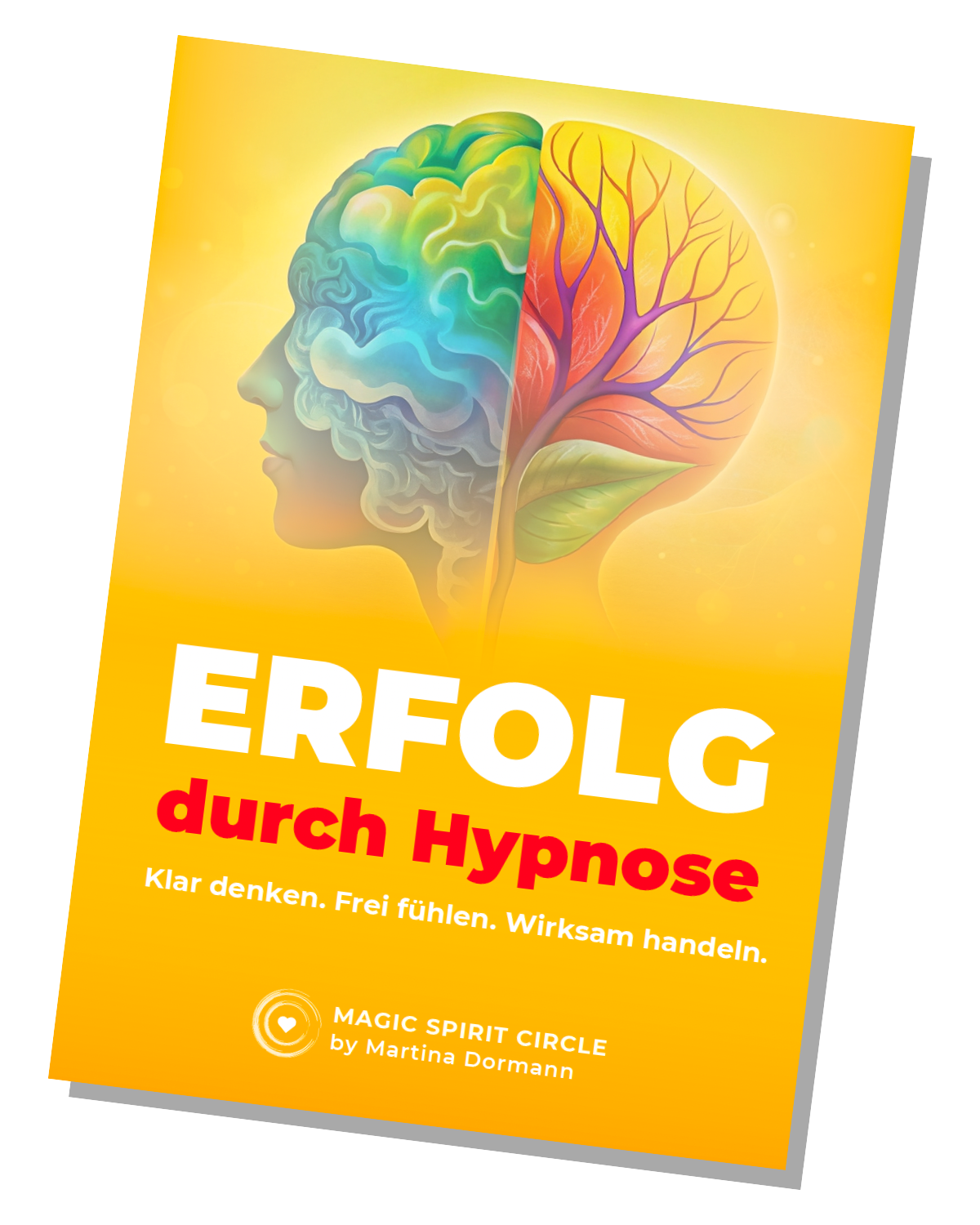 ebook-erfolg